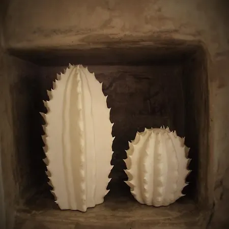 Divine * プエルト・デル・カルメン